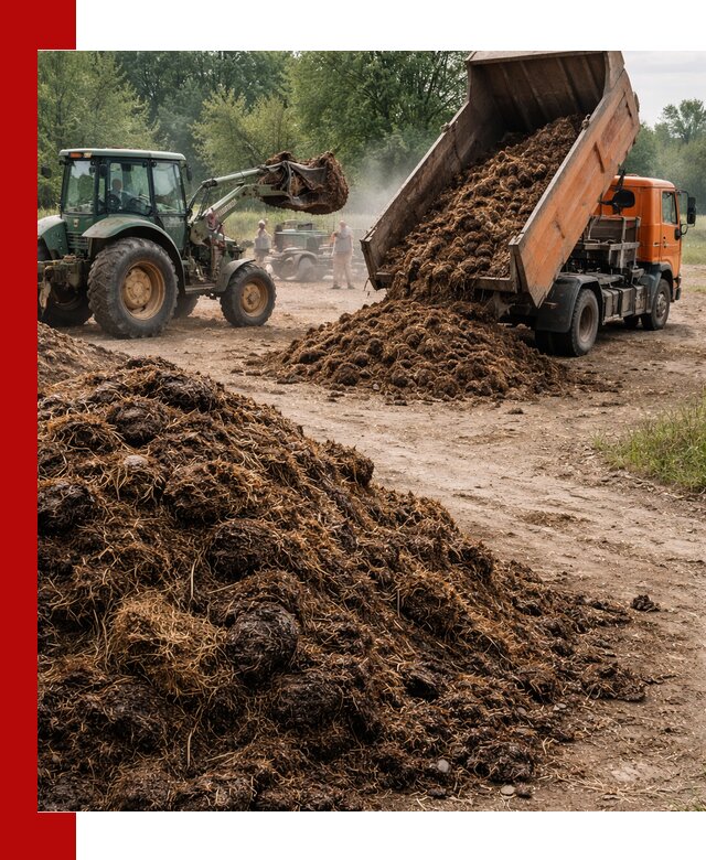 Доставка навоза самосвалами в Керчи для сельхозпотребностей